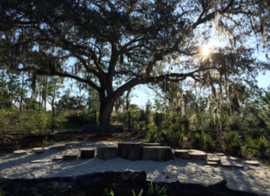 Bok Tower Gardens
