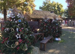 Grapevine Texas