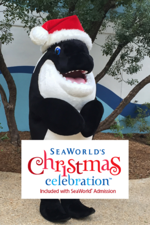 SeaWorld San Antonio