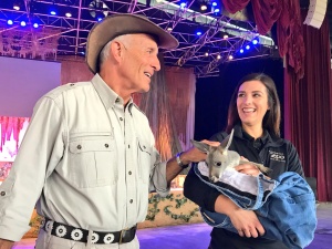 Jack Hanna Wild Days at SeaWorld San Antonio