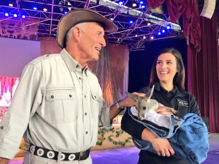 Jack Hanna Wild Days at SeaWorld San Antonio