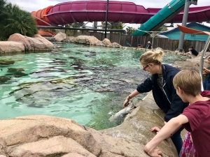 SeaWorld San Antonio
