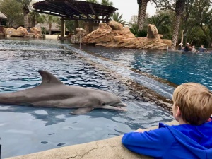 SeaWorld San Antonio