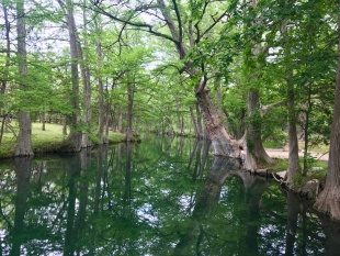 Texas Hill Country